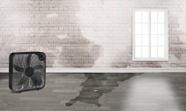 Best Water damage restoration near me  in Lake Brownwood, TX