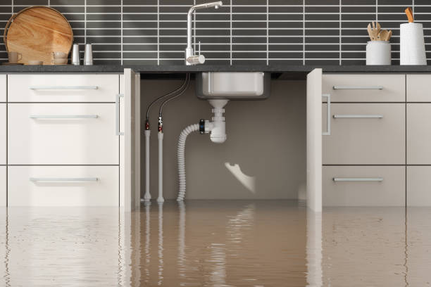 Best Basement water damage restoration  in Lake Brownwood, TX